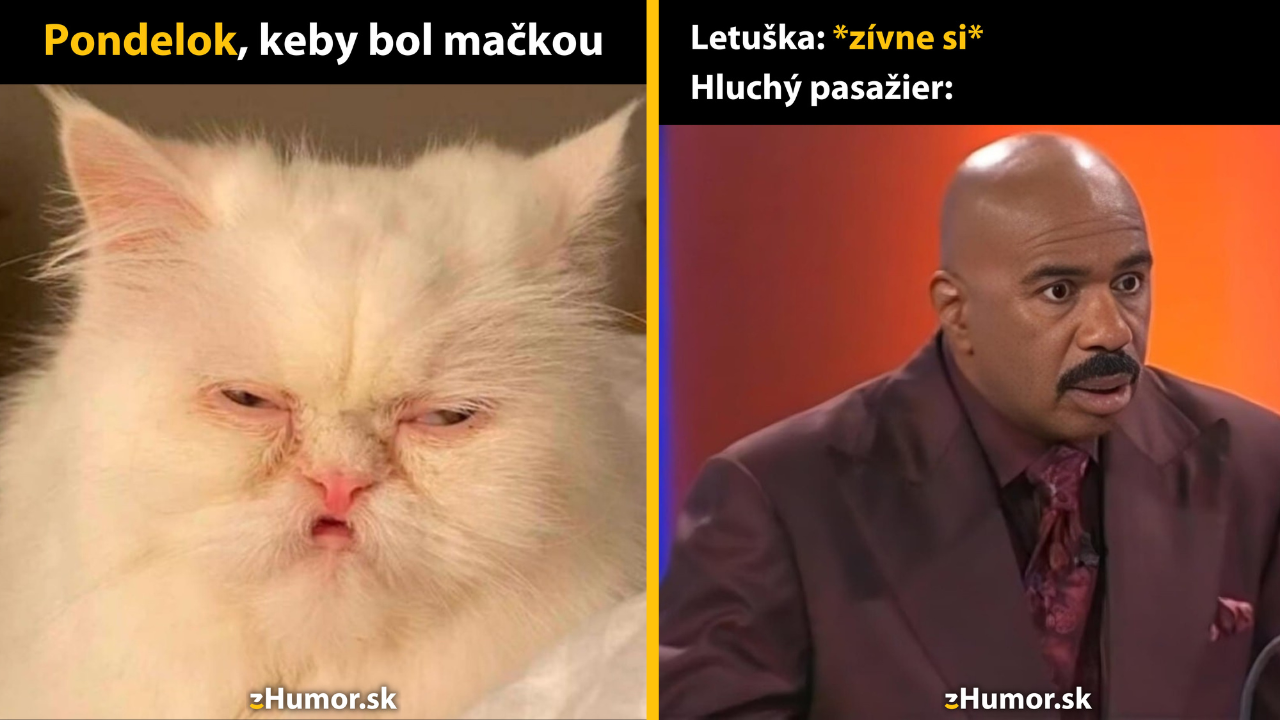 Zopár memečiek, ktoré vznikli, aby ti spríjemnili deň #1566: Určite by to bolo presne takto.