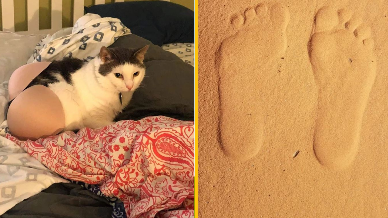 14 fotografií, ktoré vás zaručene zmätú