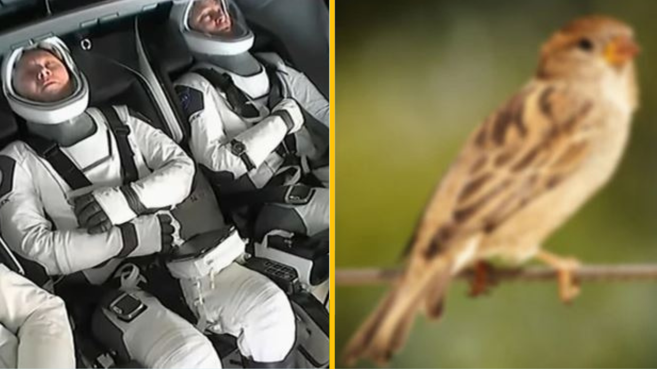 To, čo urobí 9 mesiacov vo vesmíre s ľudským telom, vás prekvapí