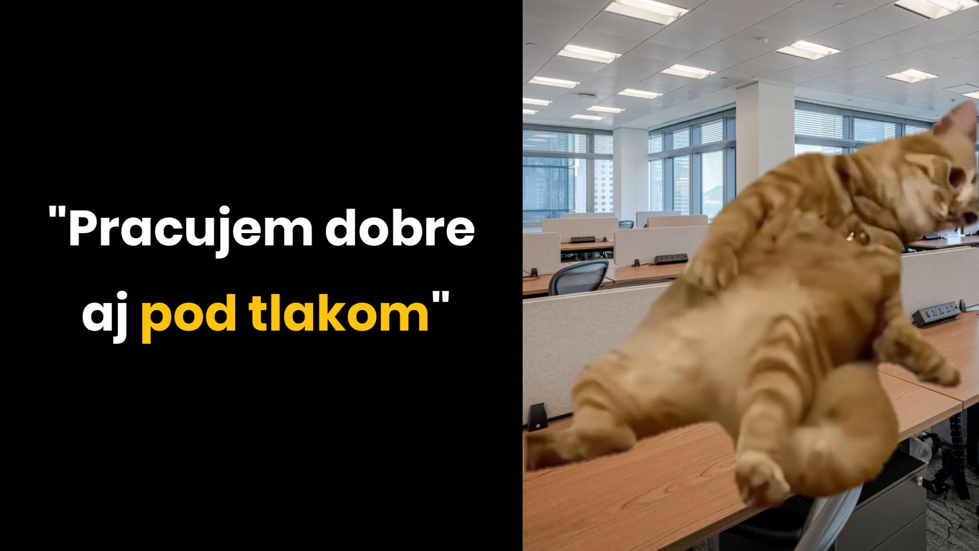 Klamstvo v životopise?