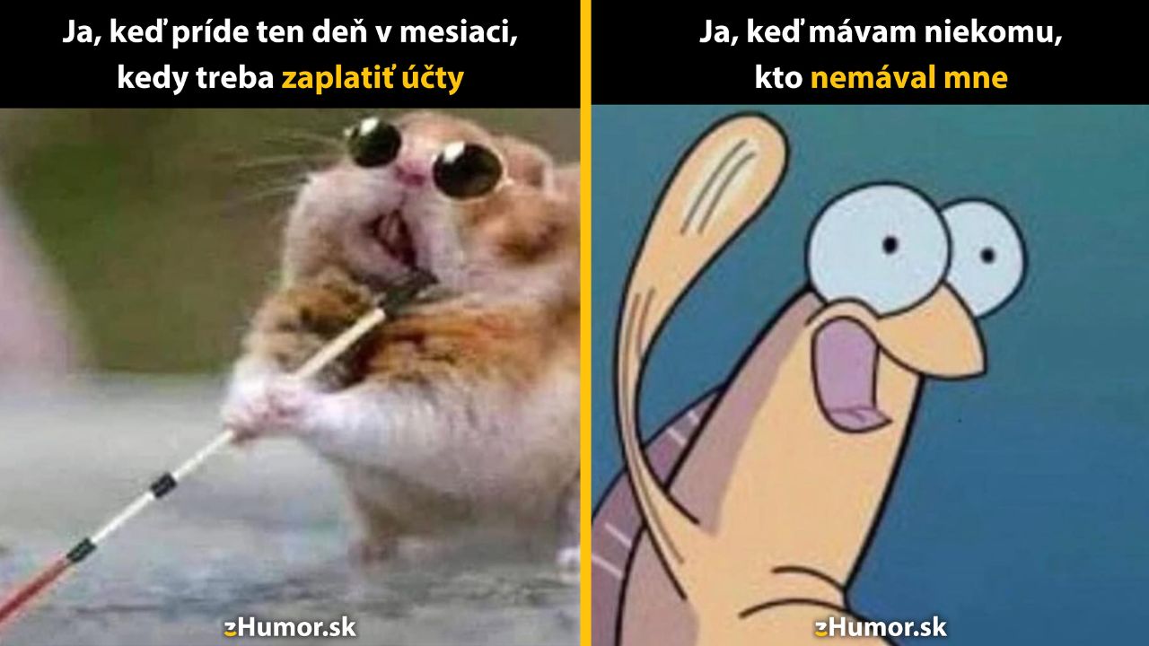 Zopár memečiek, ktoré vznikli, aby ti spríjemnili deň #1567: Môžem sa aspoň tváriť, že to neexistuje?