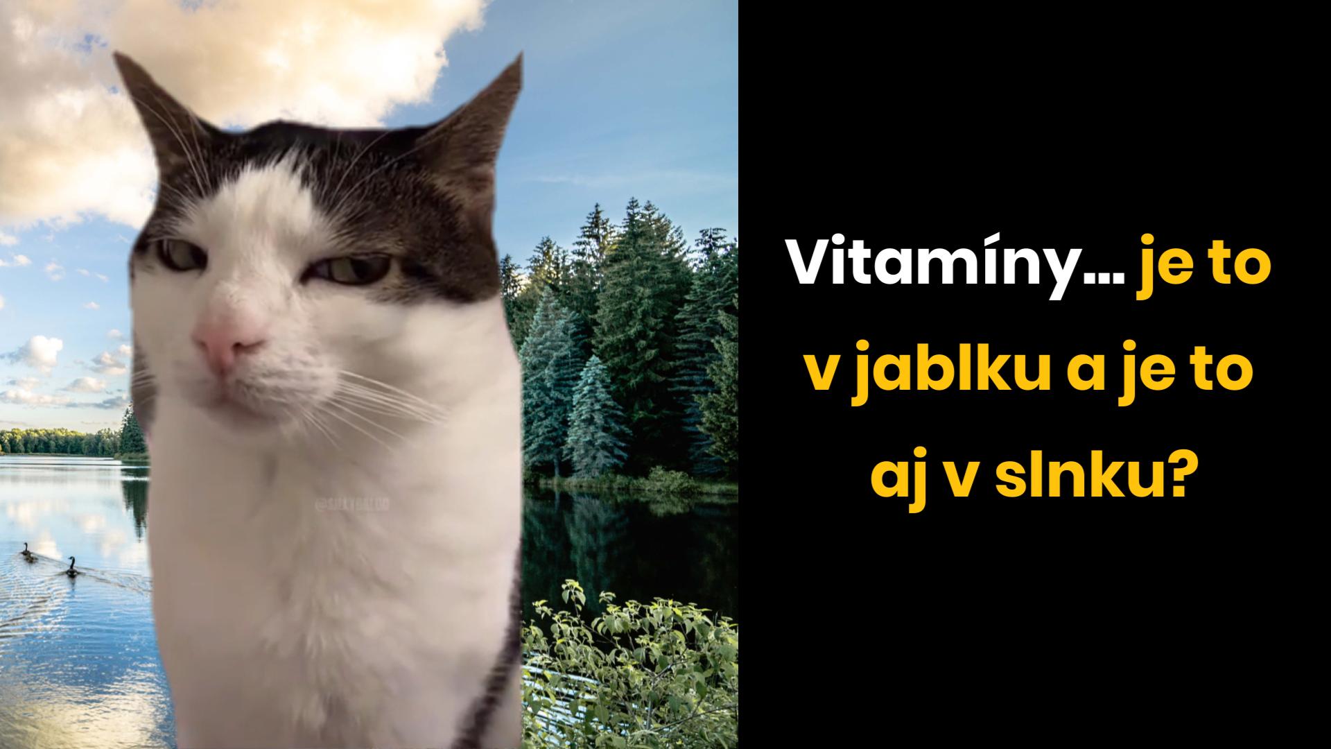 Konšpiračná teória