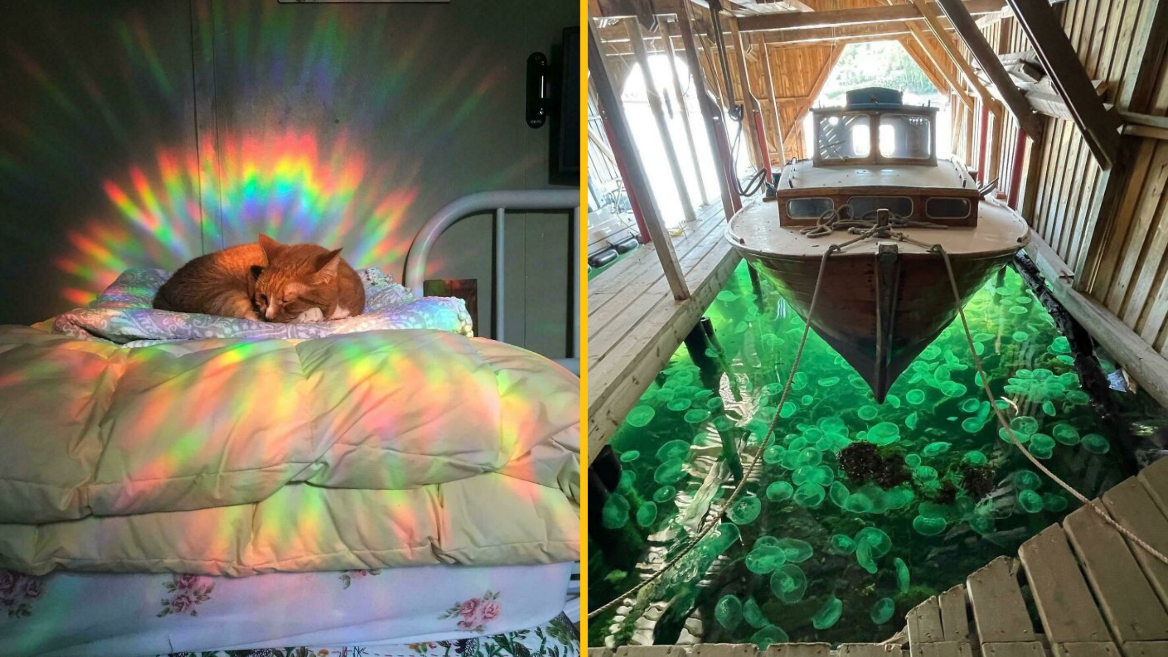 Žiadny Photoshop: 30 fotiek, ktorým je ťažké uveriť