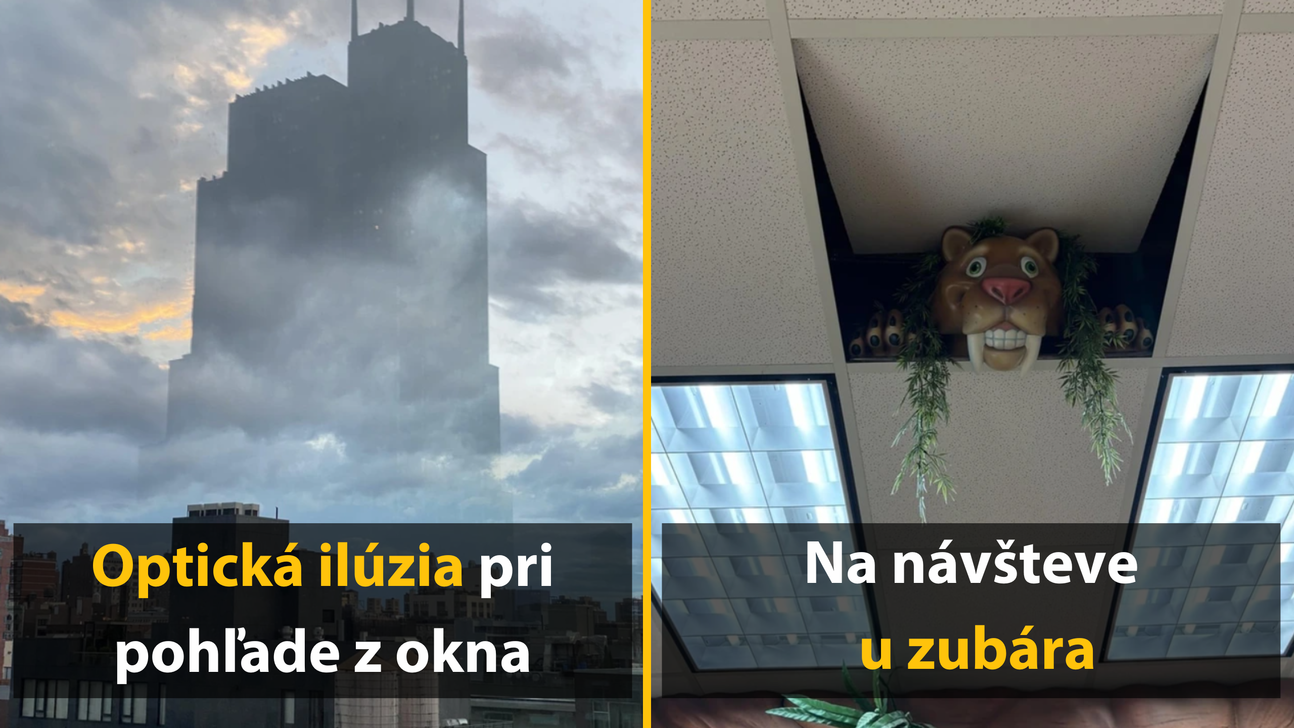 10 fotografií, ktoré vás nečakane ohromia