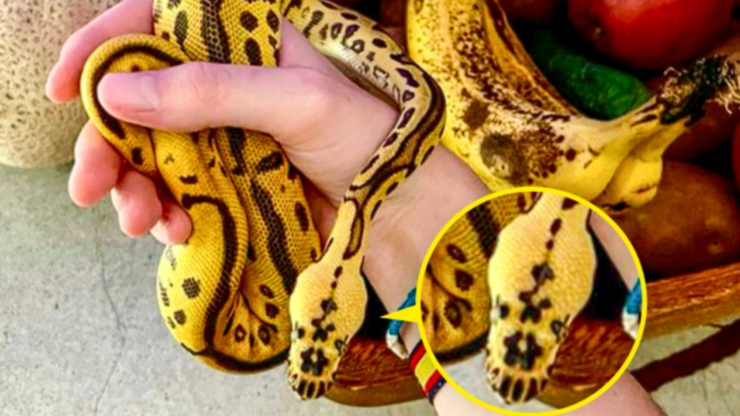 8 fotografií, ktoré si budete musieť pozrieť viackrát