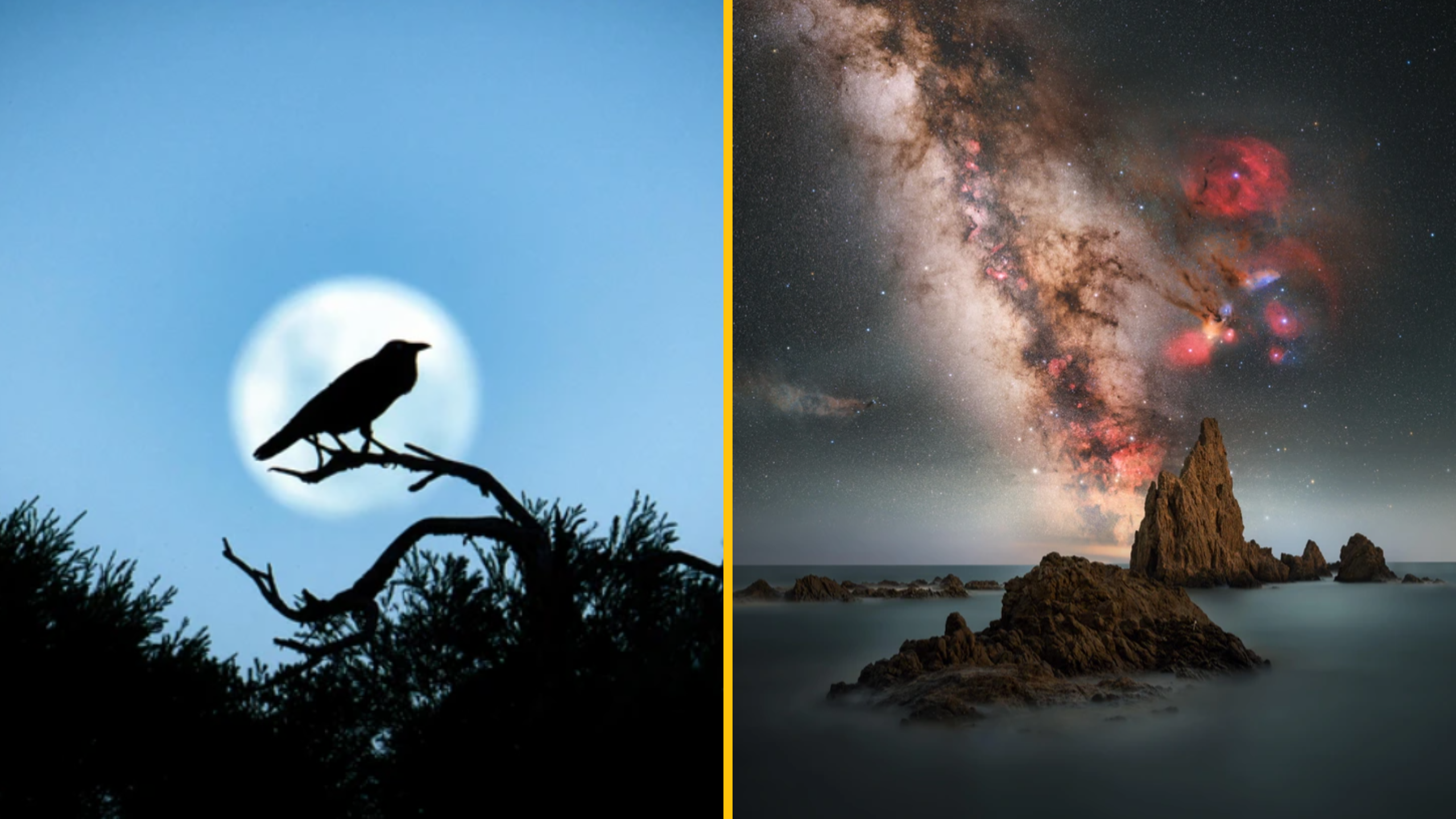 13 fotiek z prírody, ktoré zahrejú pri srdci