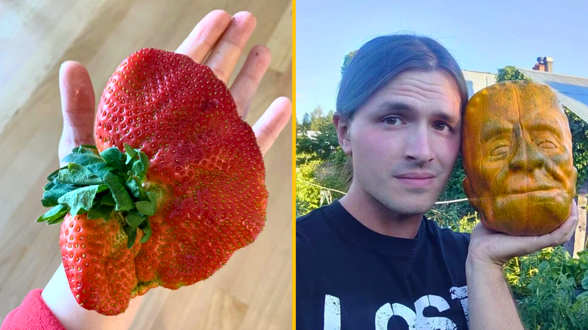 10+ fotografií, ktoré nám ukážu jedlo z nečakanej strany