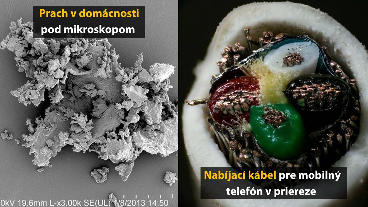 10 fotografií predmetov pod mikroskopom, ktoré ste ešte určite nevideli – 5. časť