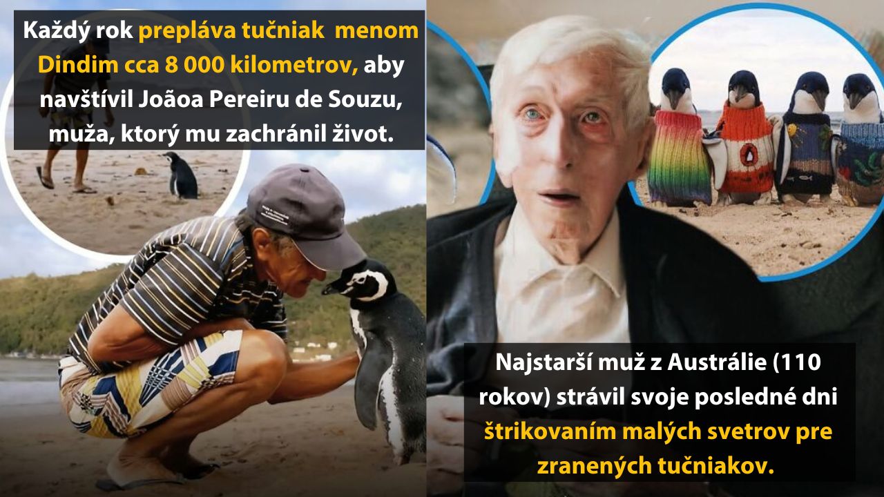 6 neuveriteľne zaujímavých a dojímavých príbehov, ktoré vás chytia za srdce #2