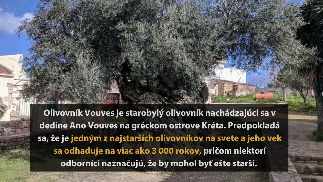 6 archeologických objavov, ktoré ohromili celý svet #4