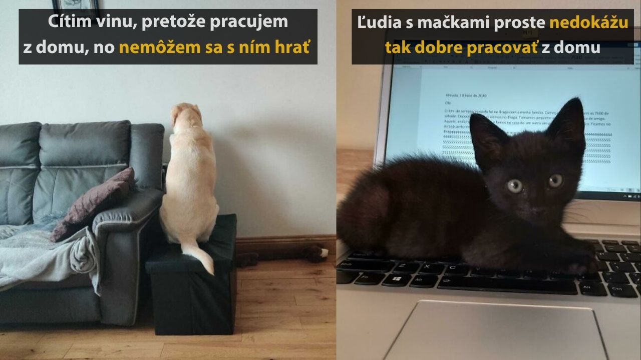 10 fotografií, ktoré vtipne a trefne opisujú, že aké je to pracovať z domu #1