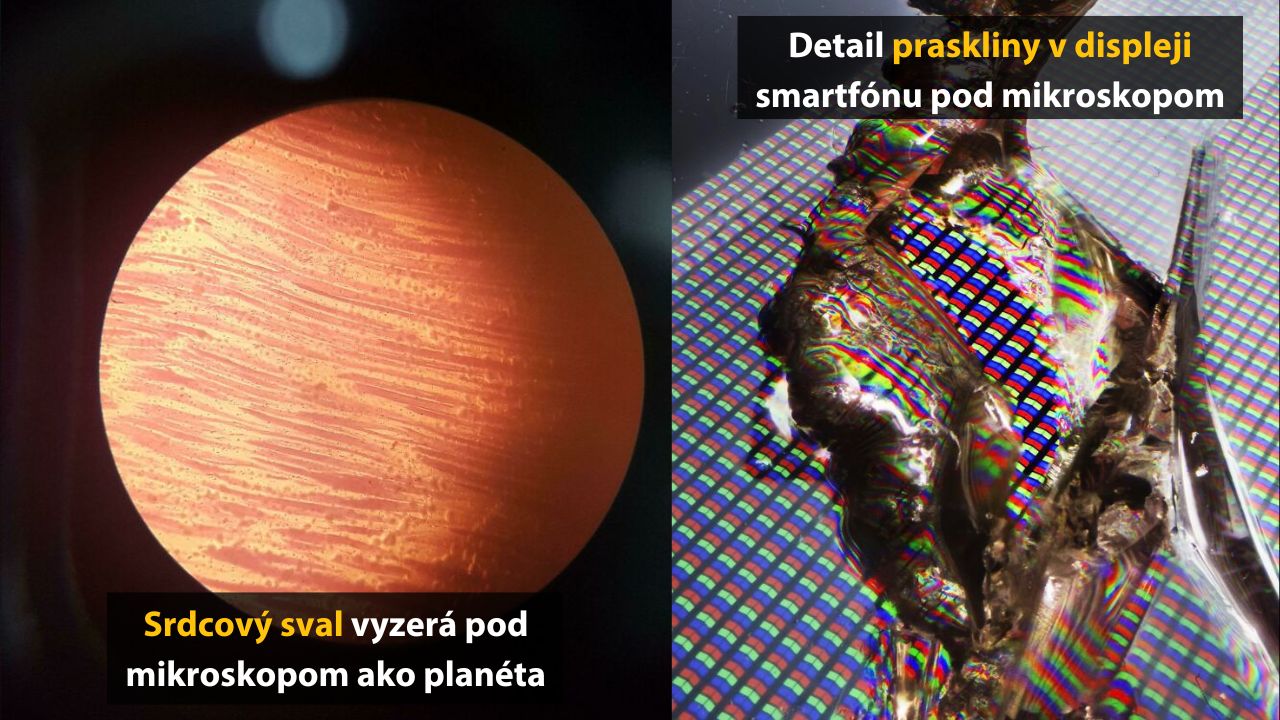 10 fotografií predmetov pod mikroskopom, ktoré ste ešte určite nevideli – 3. časť