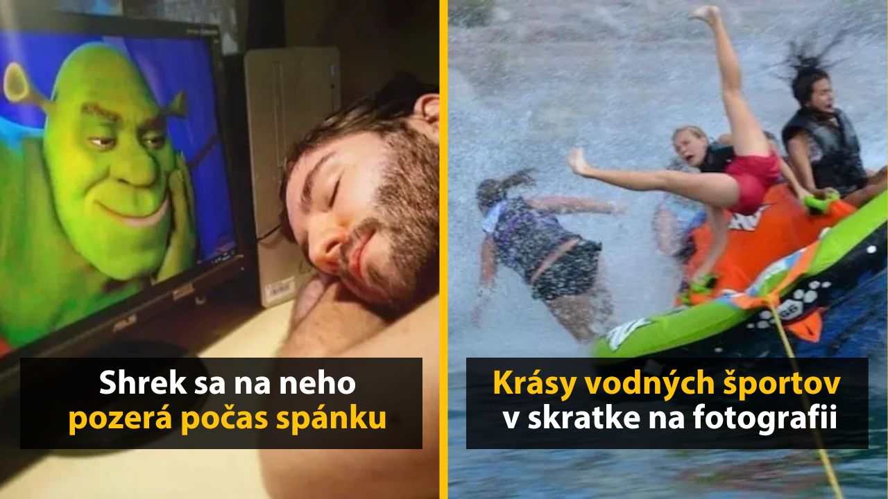 30+ Obrázkov, ktorými dokonale zabiješ čas #575 – Stromy v tvare srdca alebo piknik digitálnej doby