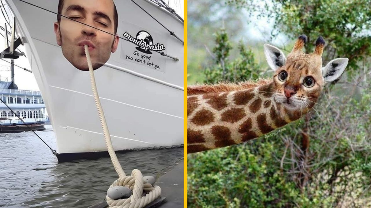 15 vtipných fotiek z celého sveta, pri ktorých sa zabavíte #4