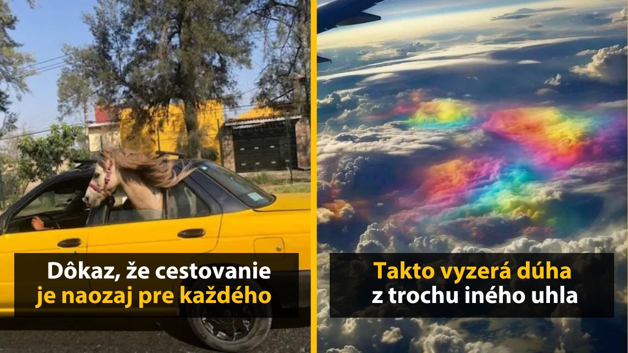 30+ Obrázkov, ktorými dokonale zabiješ čas #577 – Lietajúce auto alebo strom (nielen) s fúzami