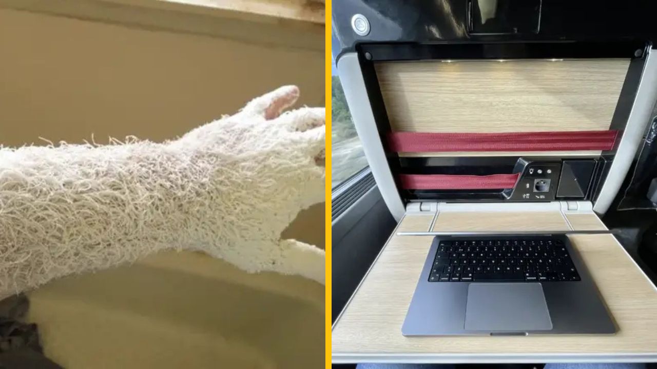 10 ohromujúcich fotografií, ktoré doslova prinútia váš mozog pracovať nadčas #2