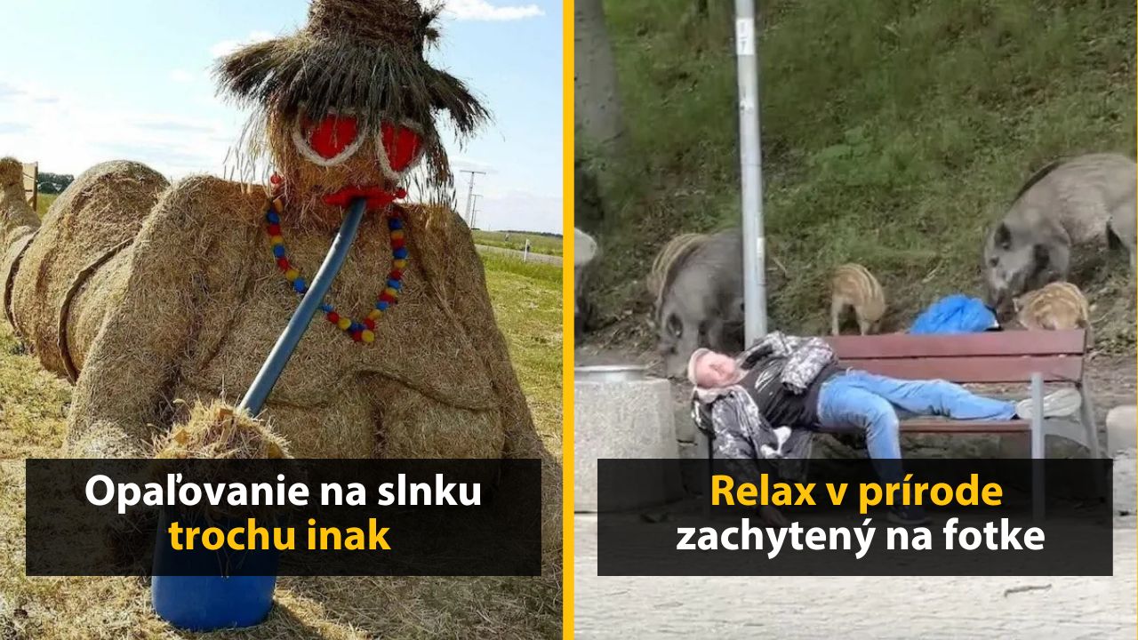 30+ Obrázkov, ktorými dokonale zabiješ čas #579 – Pes má na nose auto alebo Saruman na nákupoch