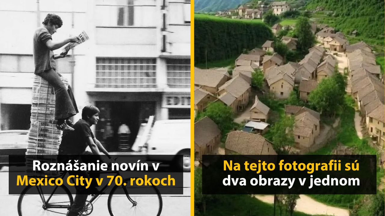 30+ Obrázkov, ktorými dokonale zabiješ čas #582 – Čítanie s korytnačkou alebo nevesta pánom domu