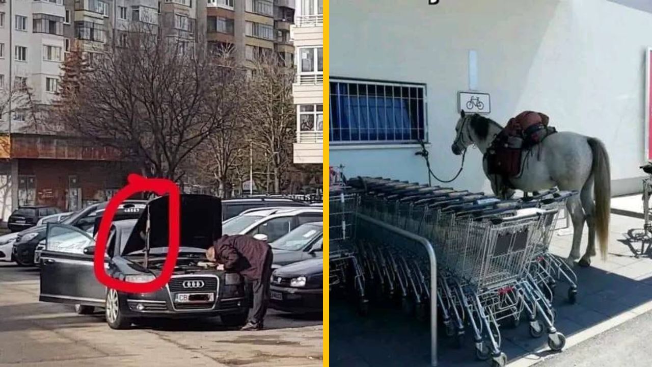 10 vtipných fotiek, s ktorými už na 1. pohľad nie je niečo v poriadku #3