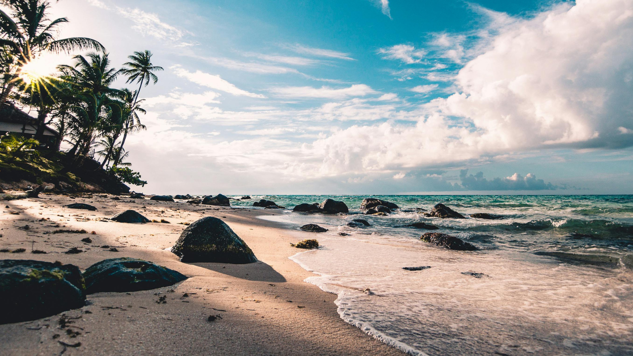Turisti vydali varovanie po tom, čo sa na pláži objavila 1,5-metrová medúza
