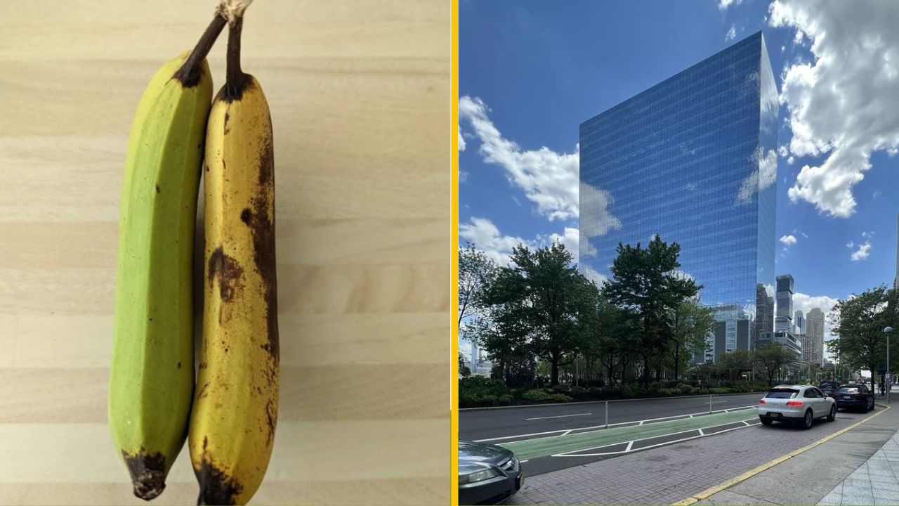 16 fotografií, vďaka ktorým sme prestali veriť vlastným očiam