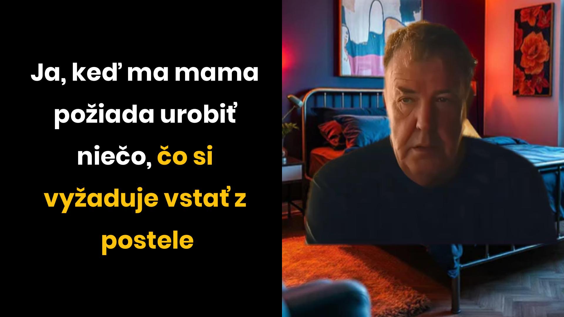 Domáci sluha