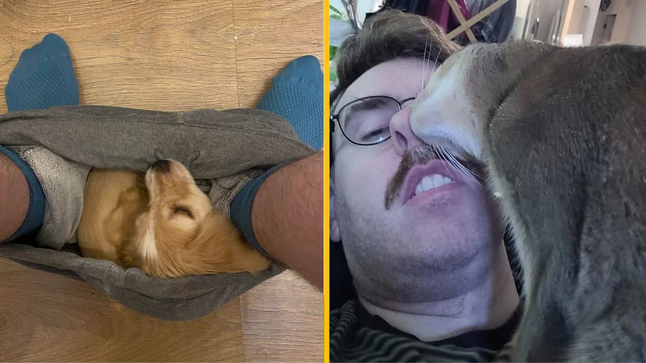 14 chlpatých priateľov, ktorí ešte celkom neovládajú umenie hraníc