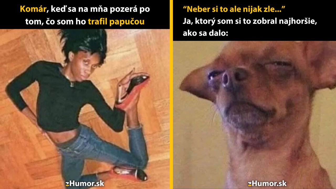 Zopár memečiek, ktoré vznikli, aby ti spríjemnili deň #1574: Ako si len mohol?