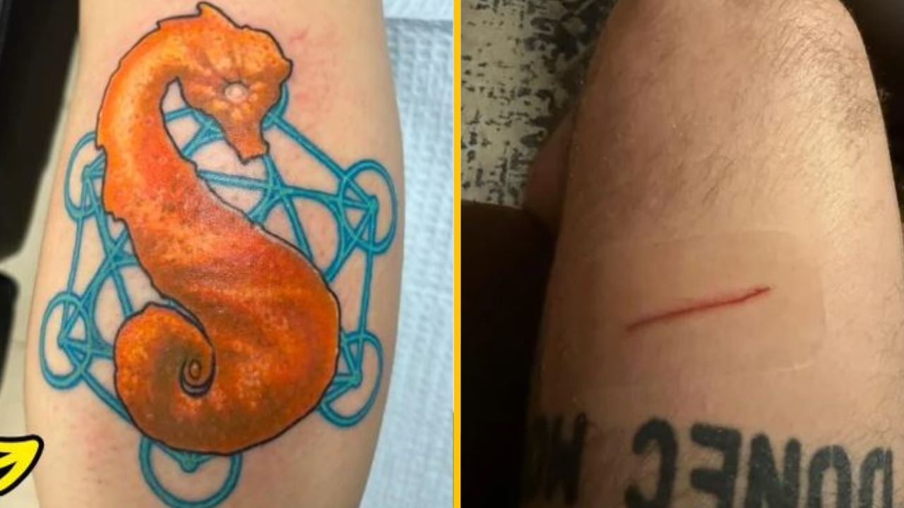 17 tatérov, ktorí dokazujú, že žiadny nápad nie je príliš šialený