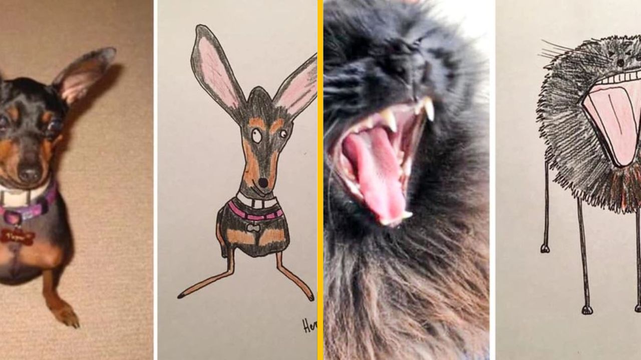 Tento chlapík sa stal virálnym a vyzbieral tisíce na charitu