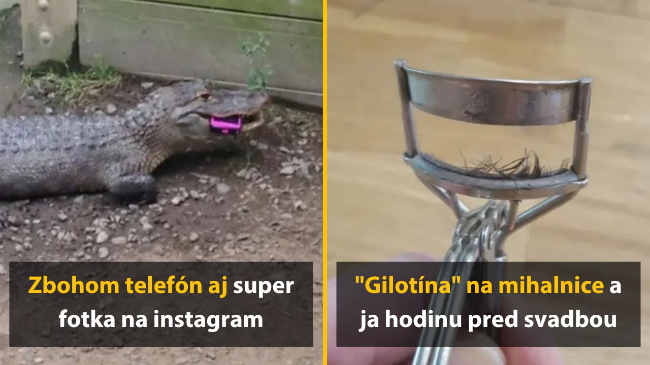 10 ľudských zlyhaní, po ktorých si títo jedinci vypli Wi-Fi a tvárili sa, že neexistujú