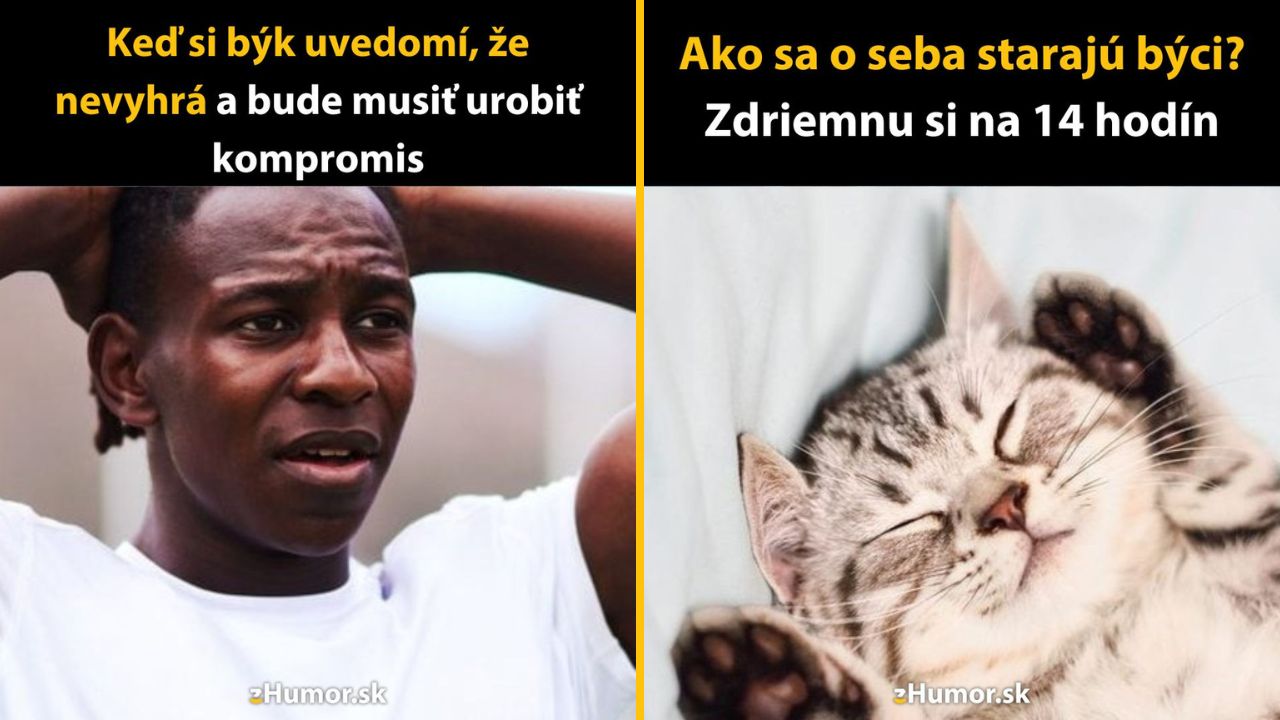10 vtipných meme o znameniach zverokruhu, ktoré o tebe prezradia najväčšie lahôdky (baran + býk)