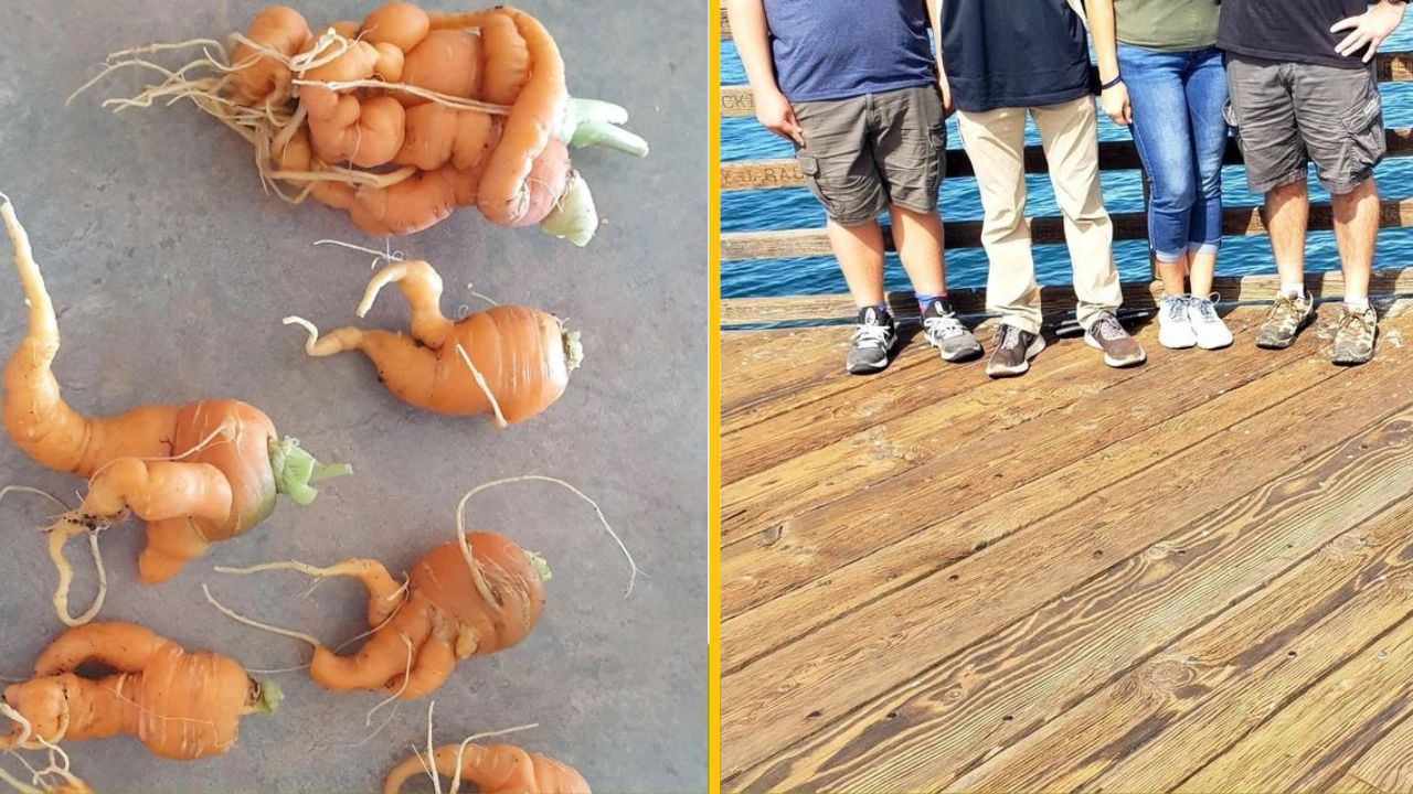 14 trápnych situácií, pri ktorých sa ľudia len smiali cez slzy