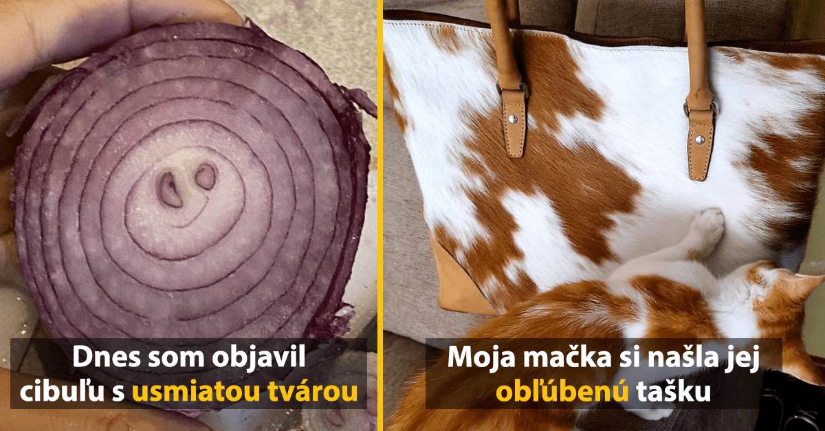 10 náhodných a hlavne príjemných fotografií, ktoré vám urobia deň