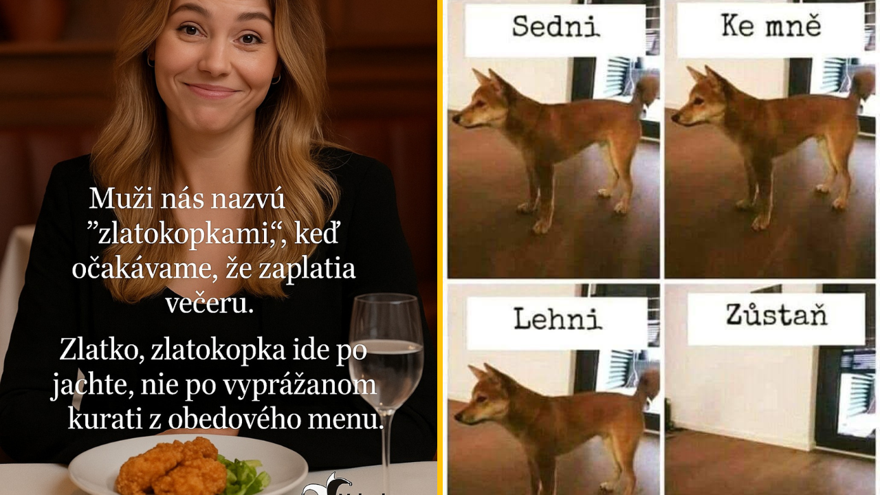 20+ Obrázkov: Všetko vtipné z internetu! #516 – Chápaví zlodeji ale aj účesy otec vs syn