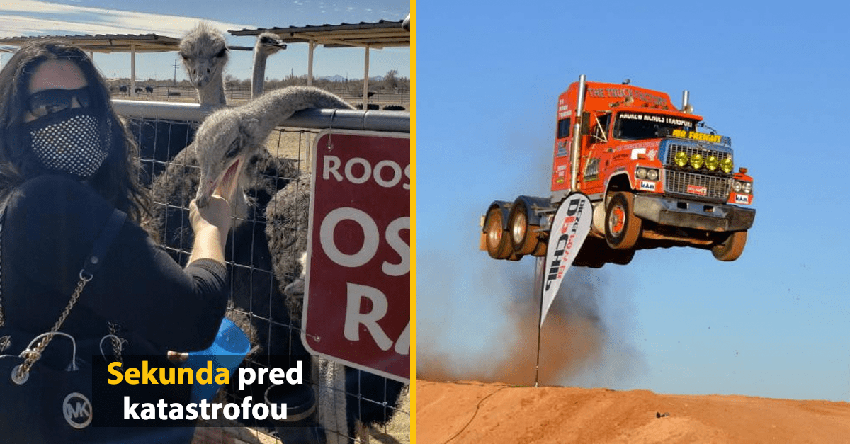 15 zábavných fotografií, ktoré boli zachytené v dokonalý moment