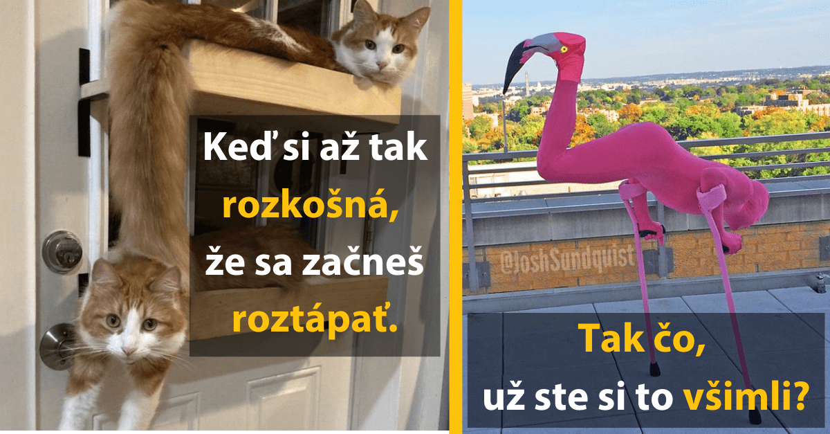 15 na prvý pohľad obyčajných fotografií, ktoré až tak obyčajné nie sú