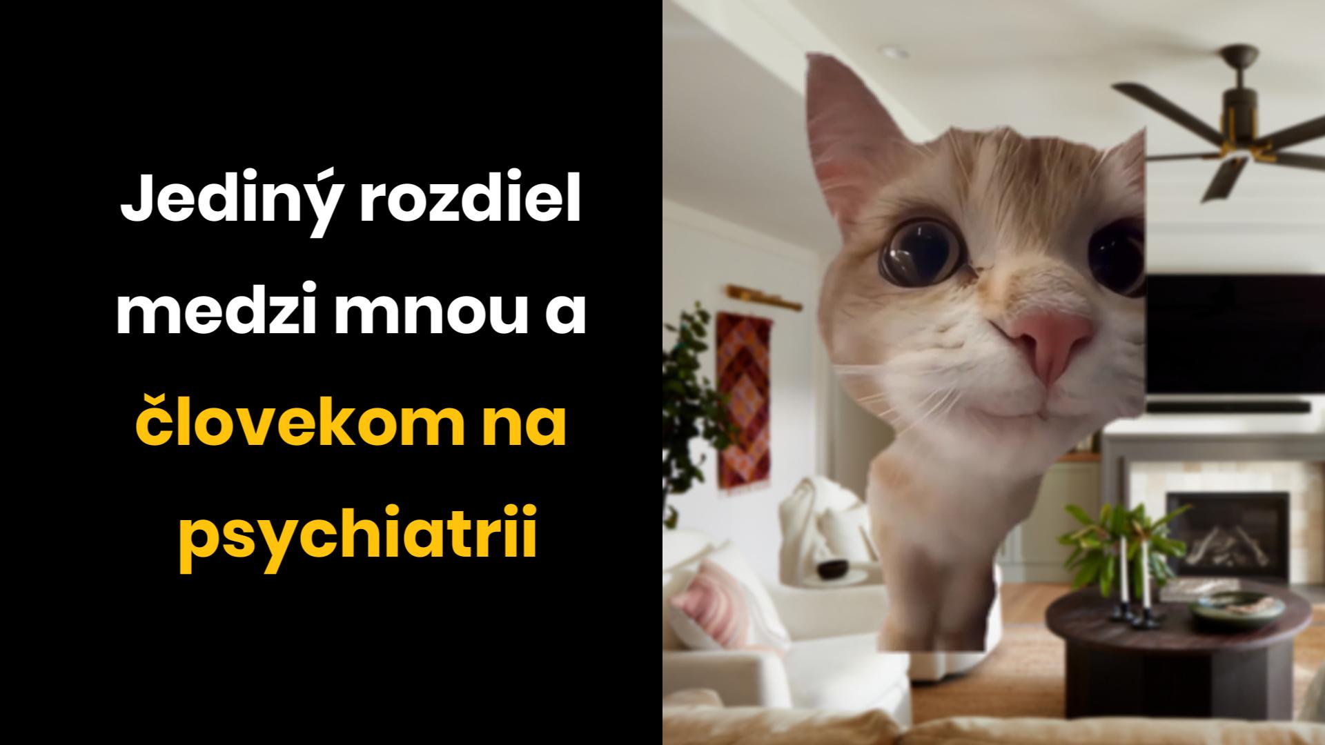 Po pondelku sme na tom podobne