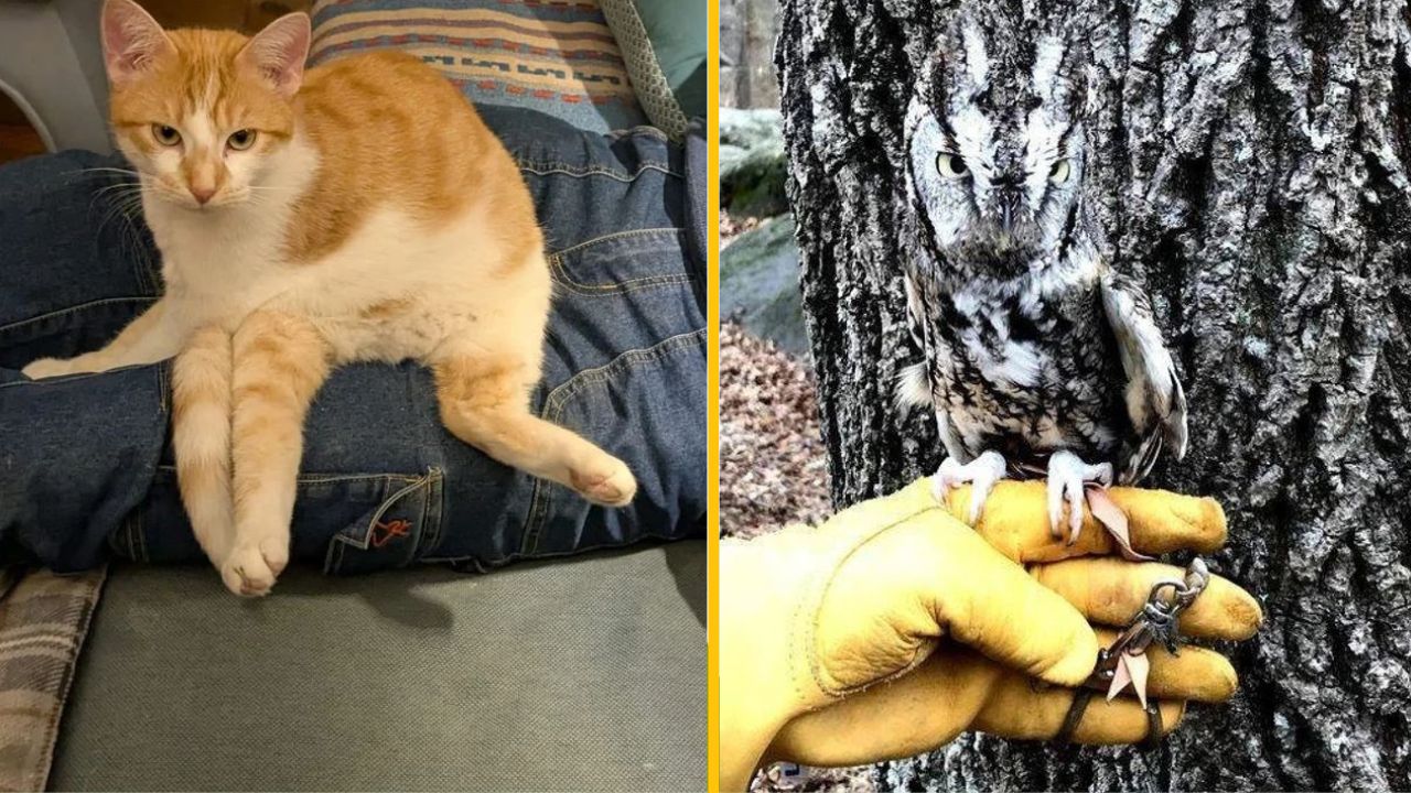 12 mätúcich fotografií, ktoré treba skontrolovať dvakrát