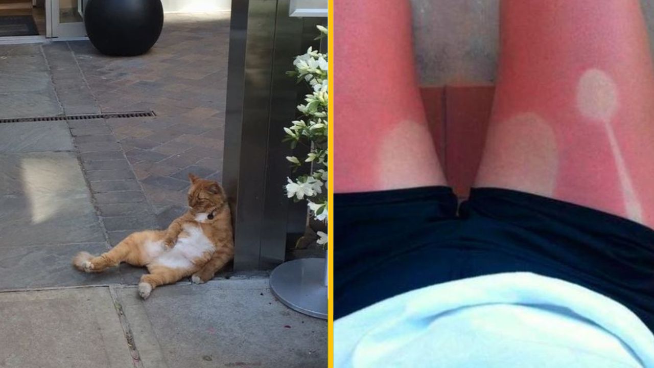 16 ľudí, ktorí si svoju dovolenku zapamätajú navždy