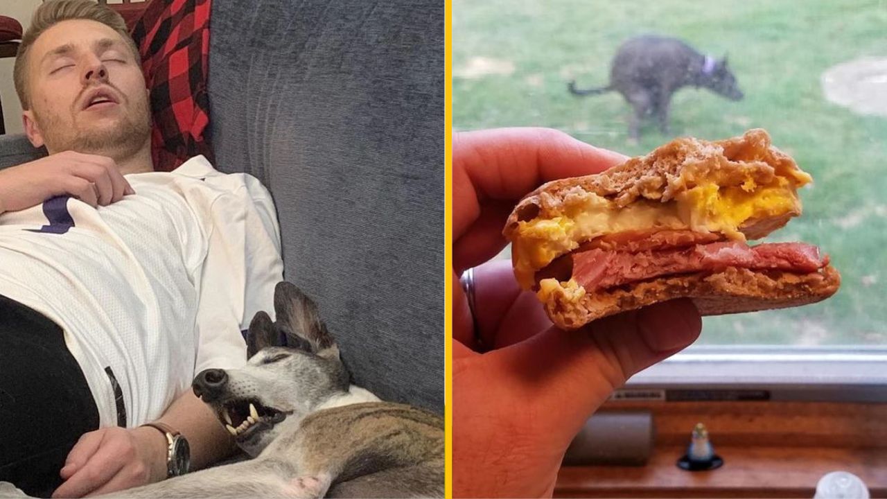 18 fotografií, ktoré vám prinesú hromadu smiechu