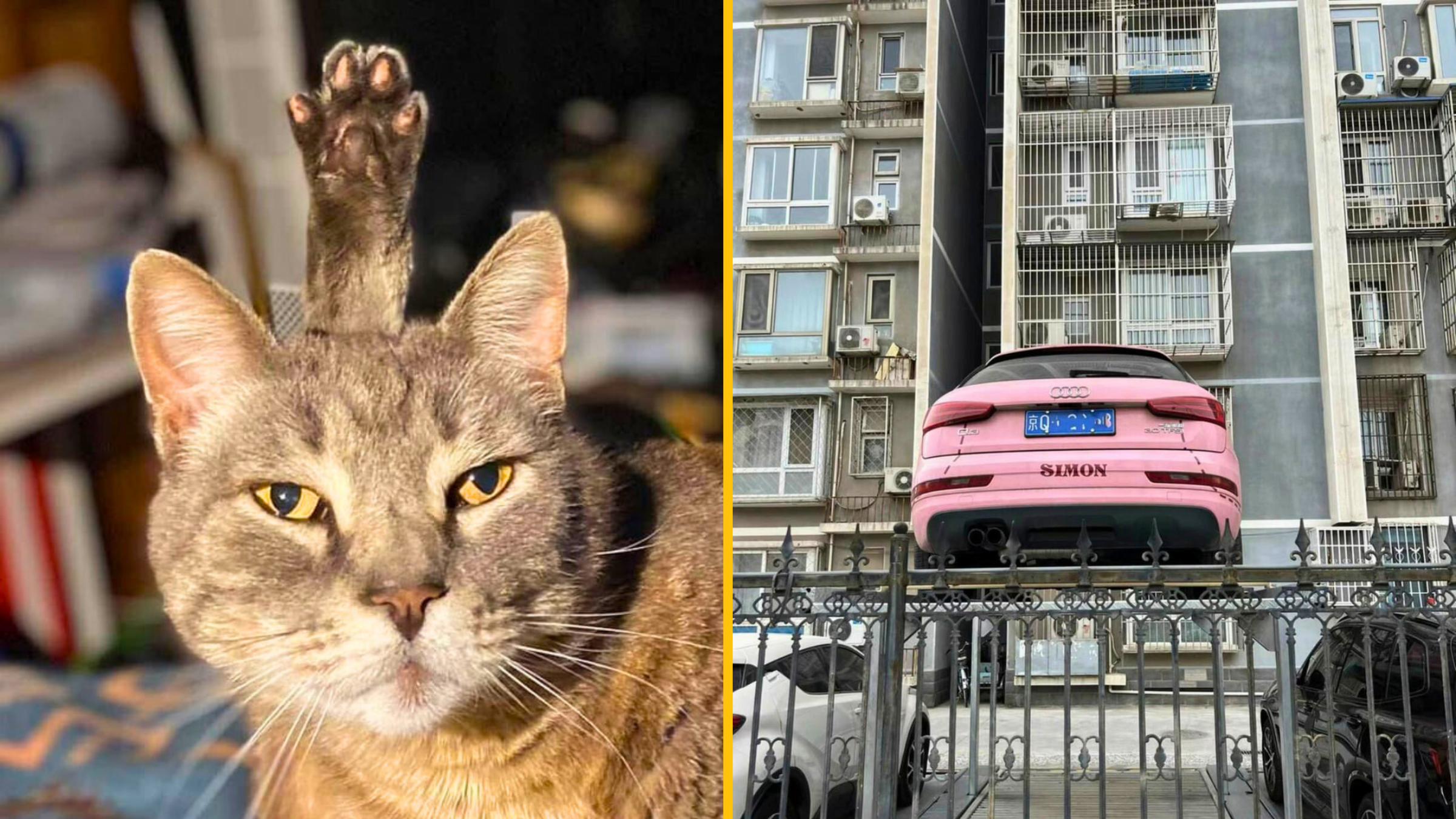 13 vtipných fotiek, ktoré vás dokonale zmiatnu