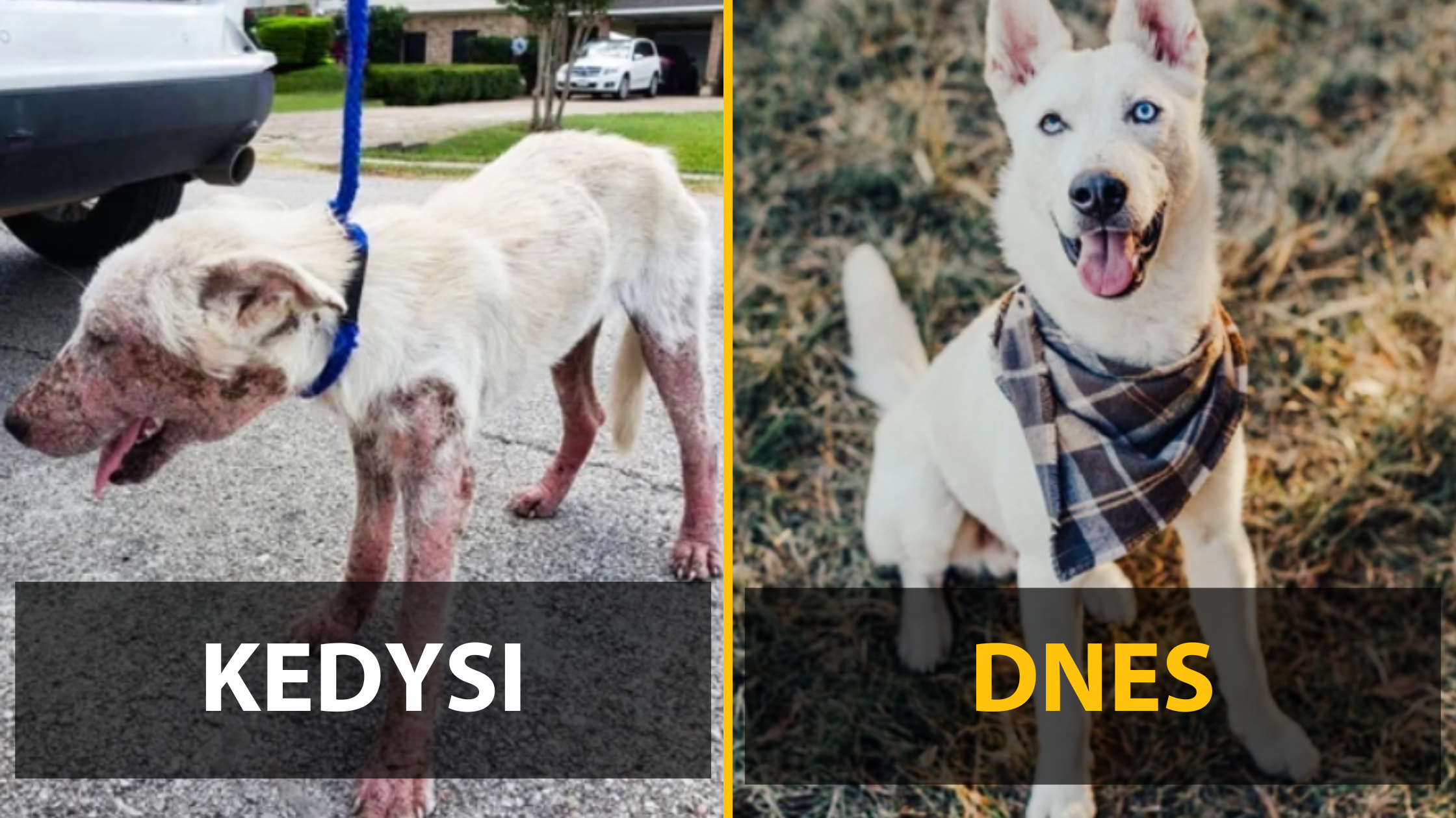 13 párov fotografií, kde veľký rozdiel hovorí sám za seba