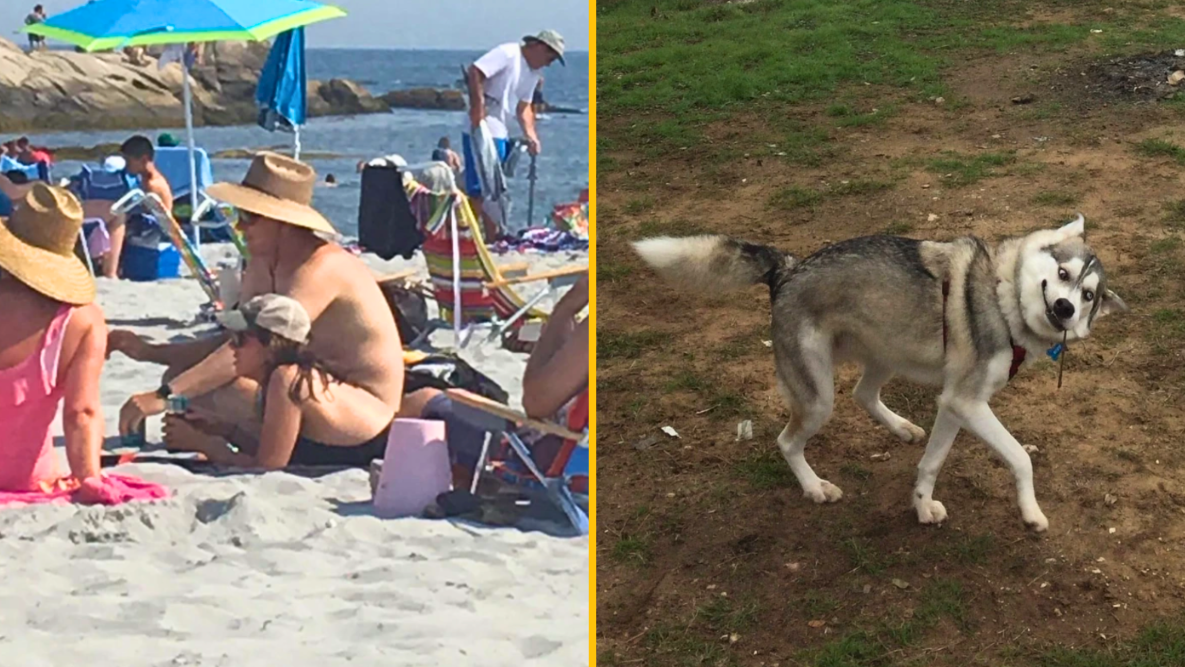 10 dokonale zmätočných fotografií