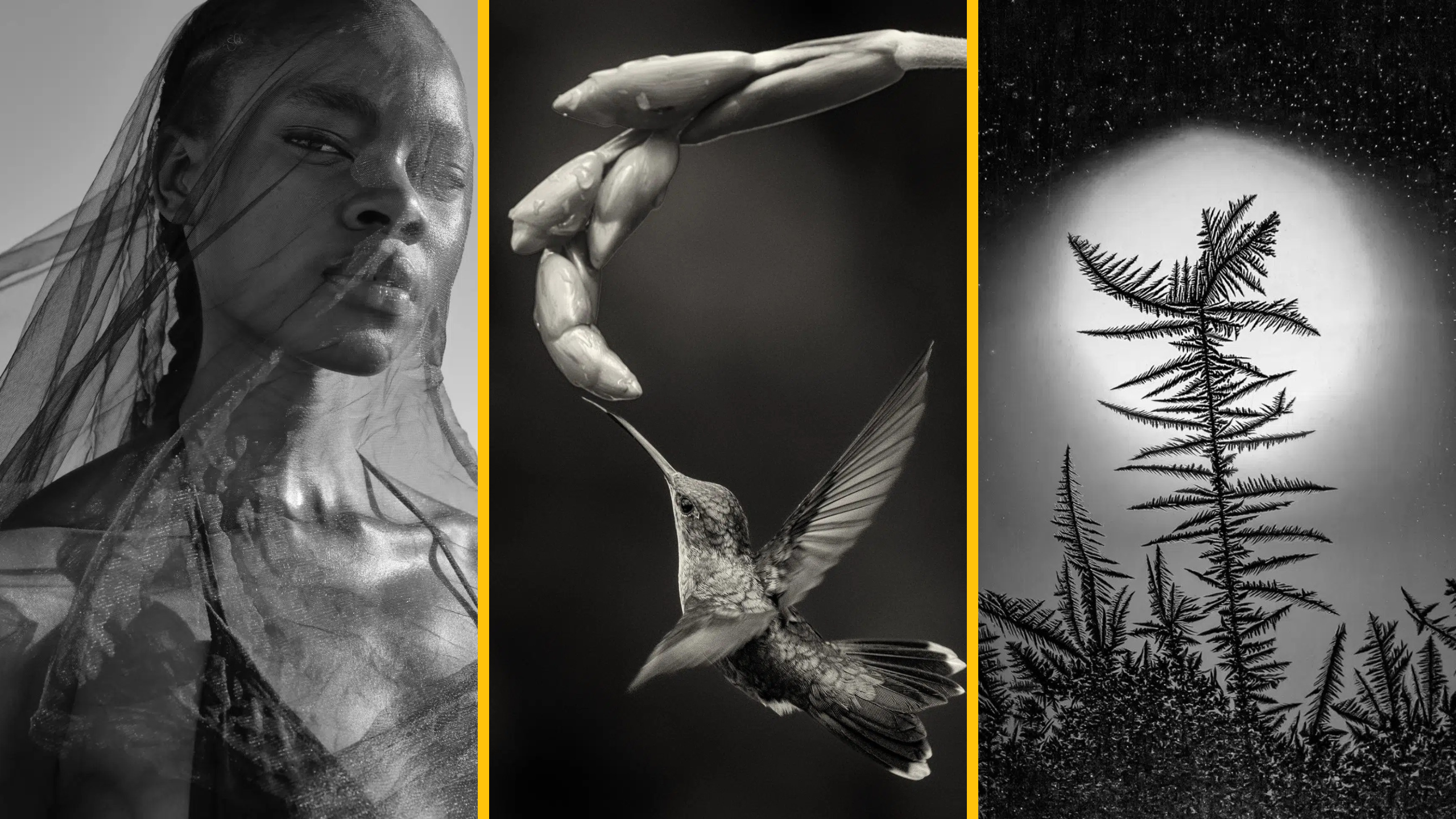 14 najlepších čiernobielych fotografií roka: Víťazi cien reFocus Awards 2025