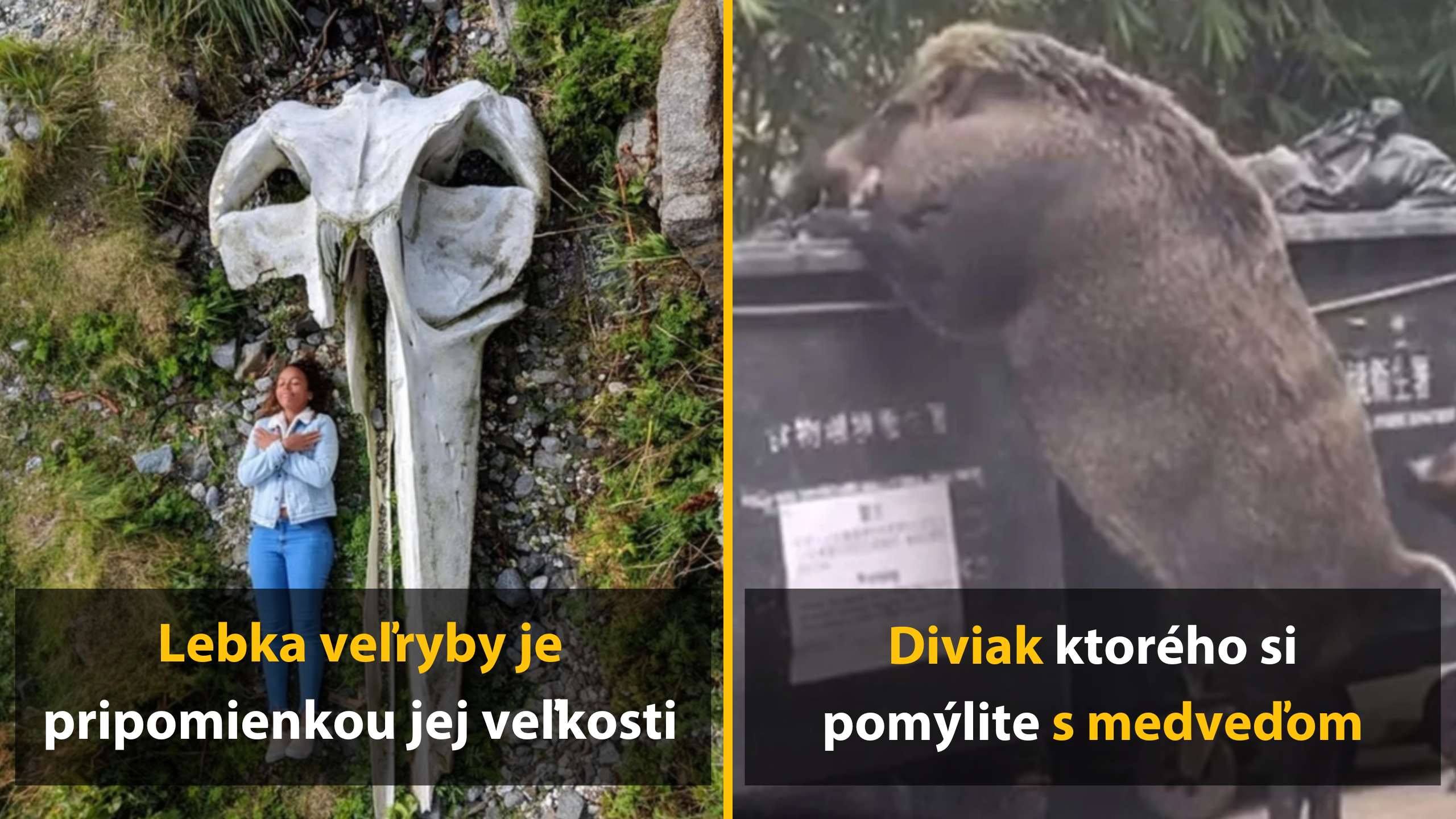 10 objektov, ktoré sú oveľa väčšie, než by ste čakali