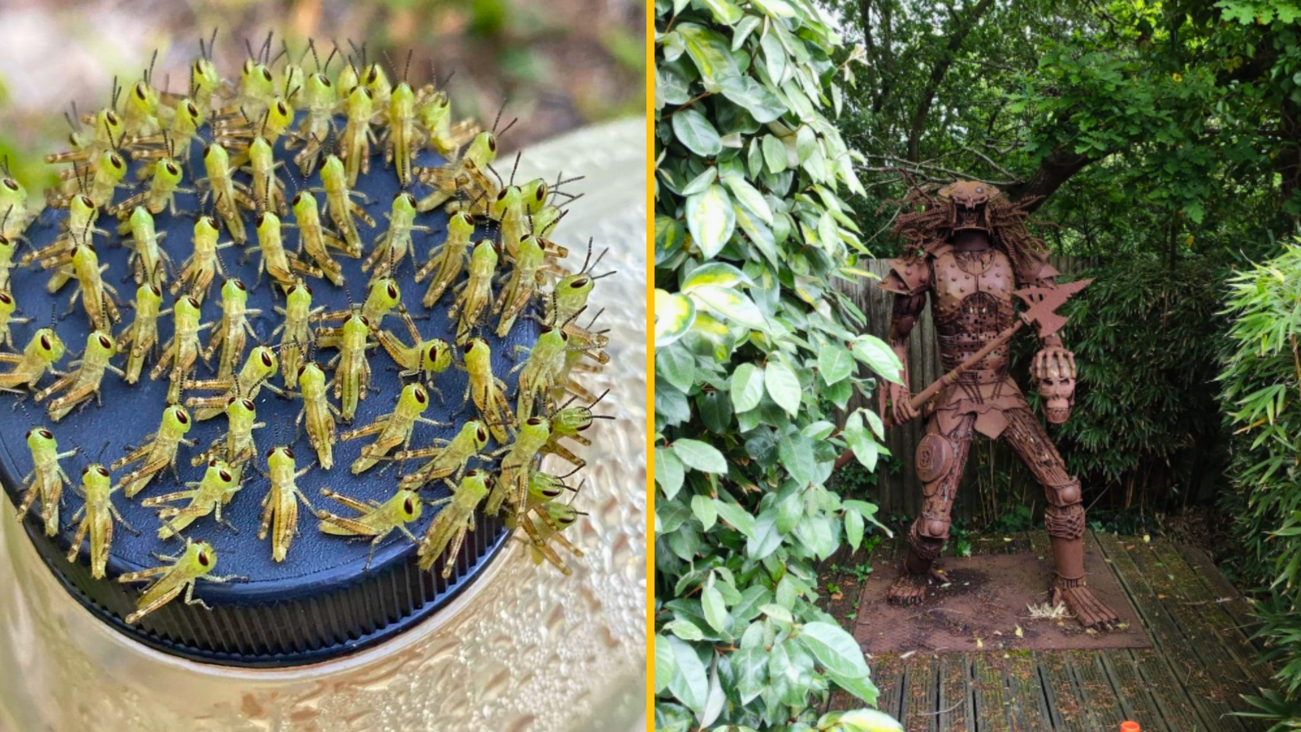 12 záhrad, kde sa dejú poriadne zvláštnosti