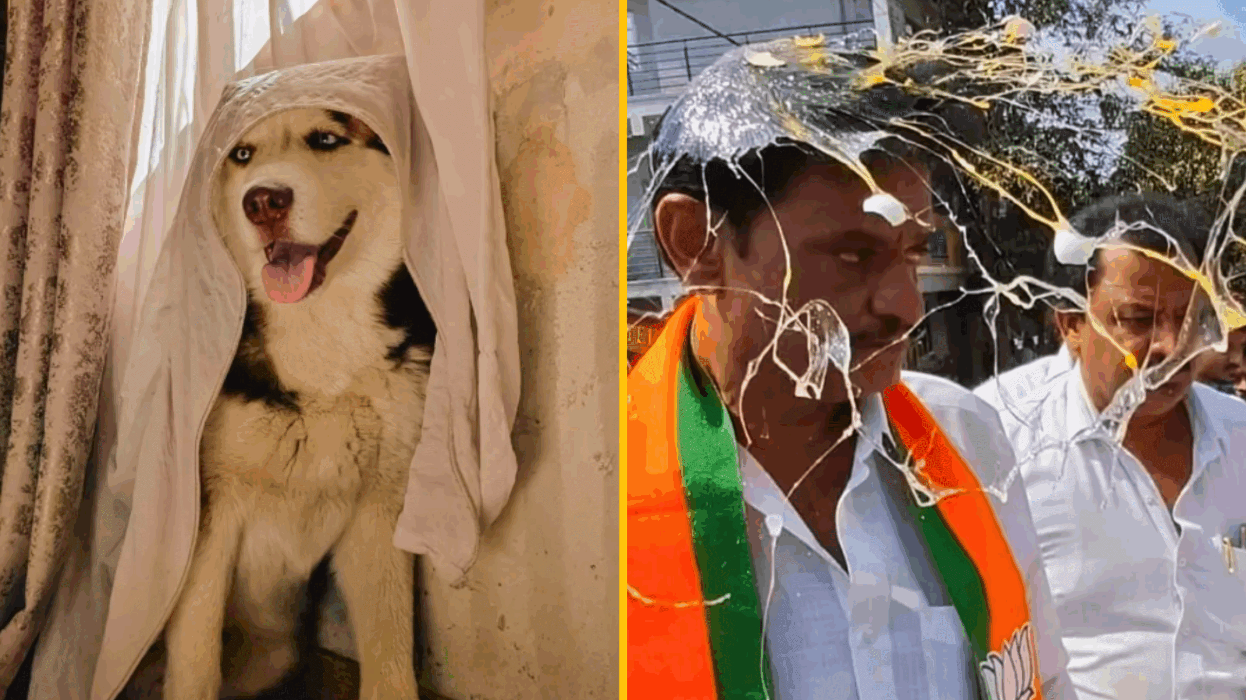 10 zvláštnych fotiek, ktoré vyzerajú ako majstrovské diela starých majstrov