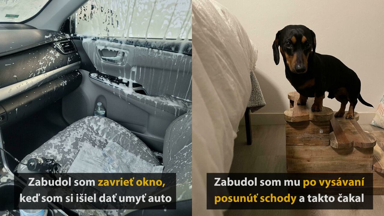 10 zábudlivých ľudí, ktorých pamäť prestala pracovať v skutočne komických situáciách #1