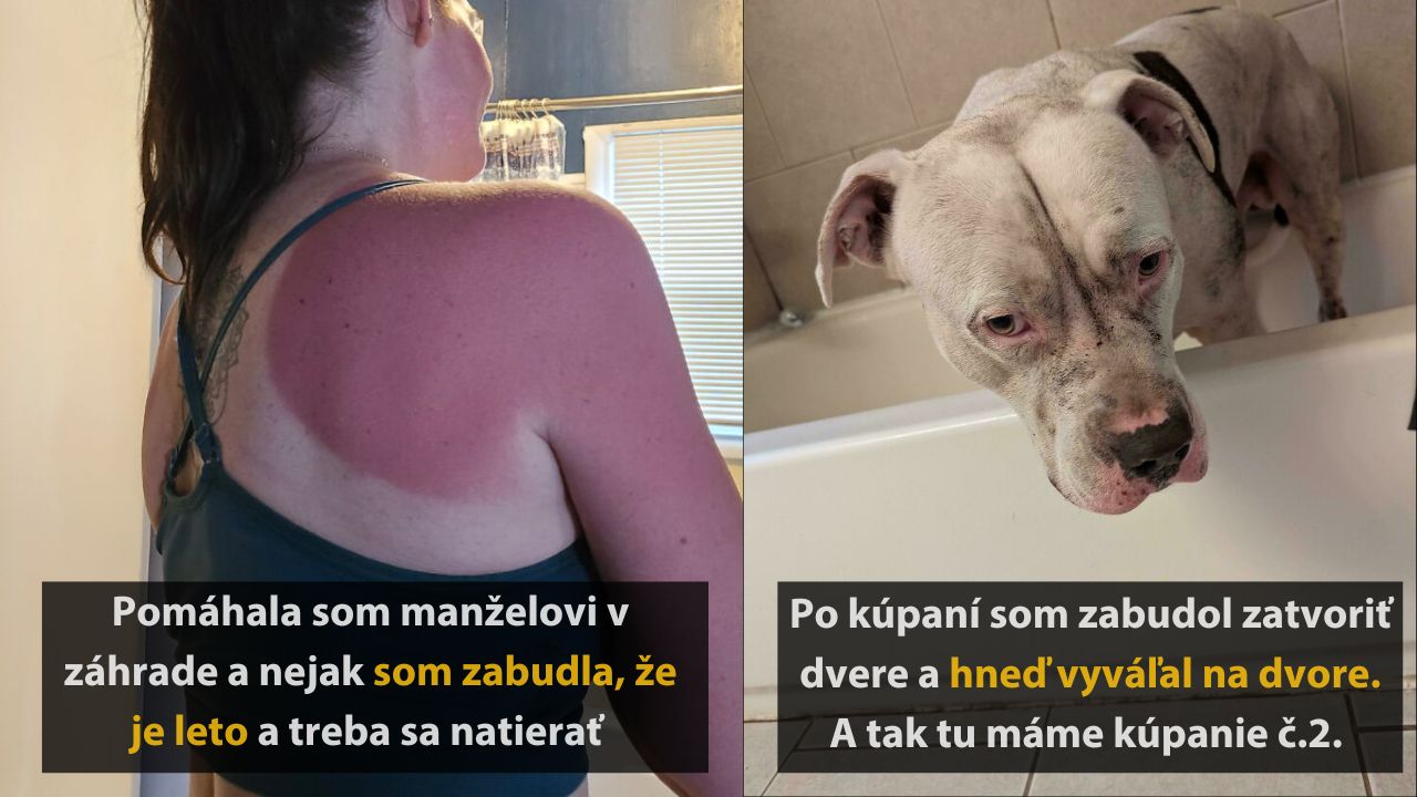 10 zábudlivých ľudí, ktorých pamäť prestala pracovať v skutočne komických situáciách #2